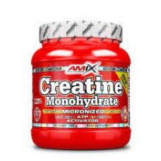 AMIC CREATINE MON. 300G POWDER