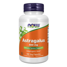 ASTRAGALUS 500MG 100 CAPS