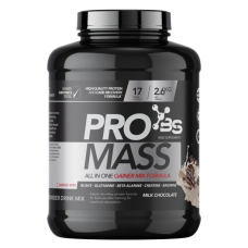 BASIC PRO MASS 2,6 KG ČOKOLADA